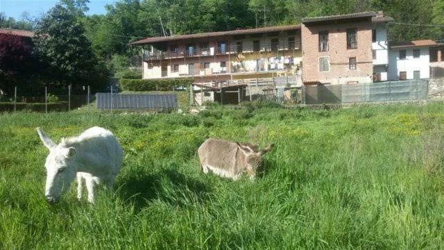 Bed & Breakfast Varionda Chiaverano Buitenkant foto